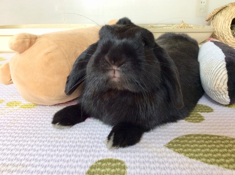 BE37021E-5DD9-404F-80FE-1E8C1D8F0393