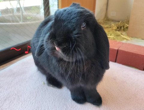 8E4D6C6E-073A-451C-BD85-3DD257CD25CF