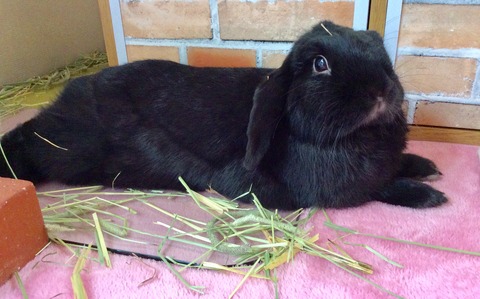 3F67288D-9725-4038-AD07-372D866D5AF2