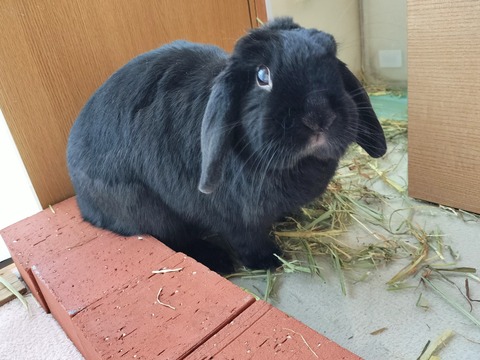 7965E99C-328C-4BAC-9B7B-7AE6C66FE5D9