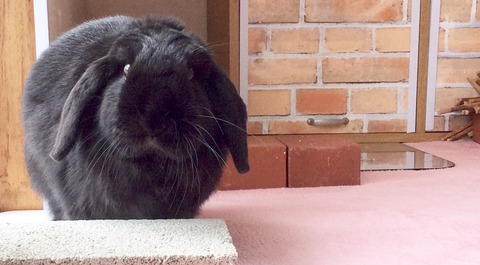 60B76BB5-C08C-4B82-823D-16FA45DE2D3D