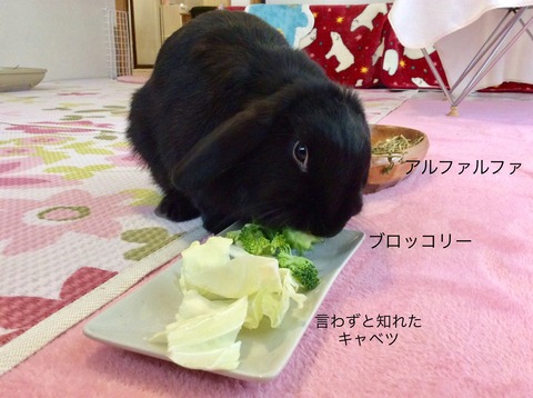 D35C904D-851A-4D31-AFDC-B11F90EAE1BD