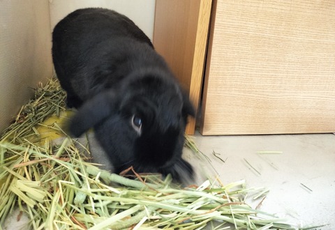 9C2BAC23-6C58-4702-BE75-640D7C52D9D0