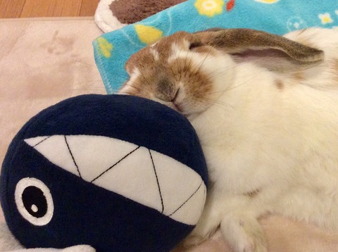 E85CA7E8-E492-4DC6-9E08-C896015A5185