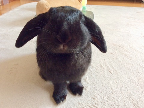 A624A197-1855-4A93-96F8-54427475E2D3