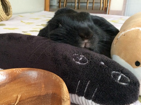 D6A3EA6B-2AE5-480B-ABDB-A70D4C44891F