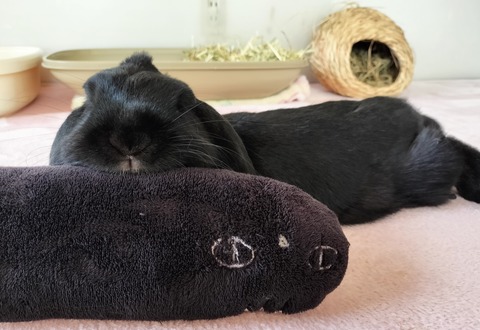 5D972629-8B01-47CE-AAB0-959C2F34551C