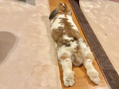 8B528B00-FF18-4FB9-BF13-DA401FC24069