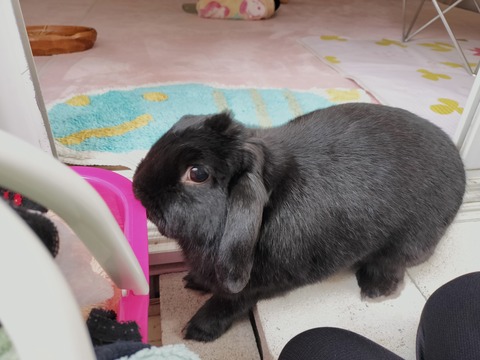 48DBCF8F-B5D7-4B63-B8C7-79D425B0C0A3