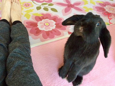 2BE8CDF6-51A5-4F47-8407-4AAAFFDE8875