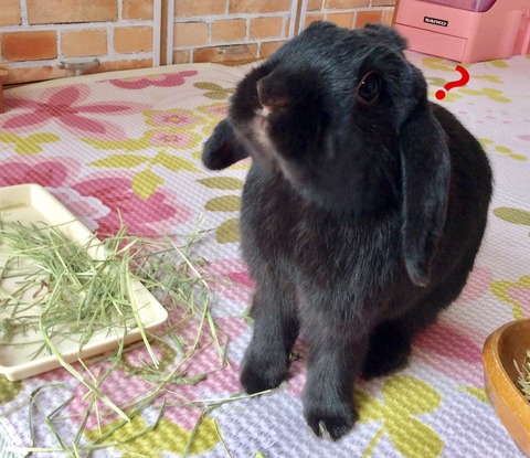 37F1784A-3261-4252-A42E-C204C42DAAB9