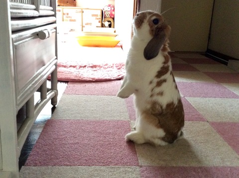 4A0A2B41-3D14-4CFA-A521-44CBBB8ACBA4