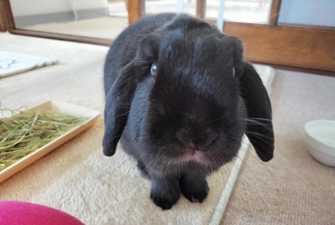 B97BEE5D-EF2F-423A-A933-9213286404CC