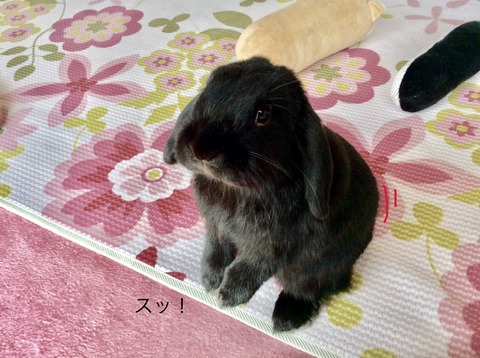 83755857-A14D-445E-8DBF-89B7BDB5A343