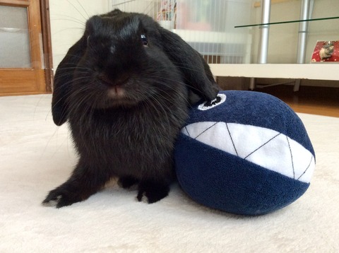 D913895E-5C3C-46DA-91EE-828244562EF7