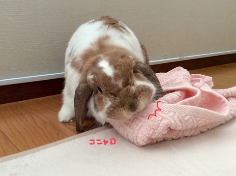 511A1B40-C5C3-4F25-A631-42E7DDC2666A