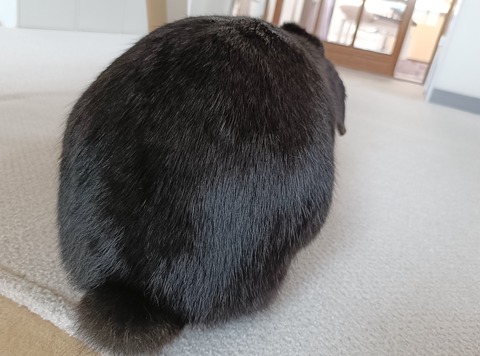 EE8537B2-F177-422E-A119-3CDD3813D65A