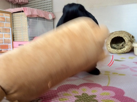 863692FC-BEC1-4375-93A9-ACA3C0CF7930