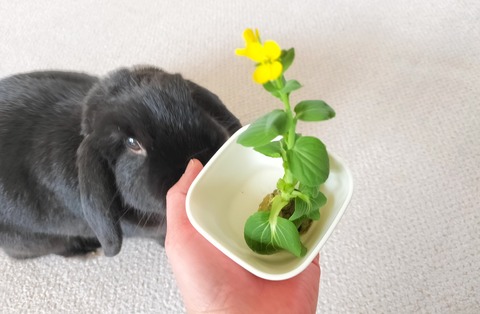 74989514-9BD3-406B-8FBE-16E5F672CFC9