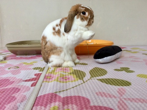 83169BED-50BE-4F67-93FE-730BCABB588D