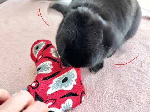 8C1138BB-C086-4174-91A3-A429EFA647BC