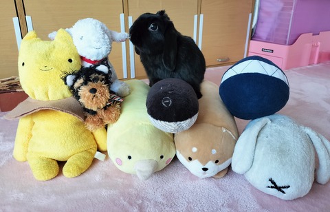 74633A88-EF14-4B52-9A6E-515EE816F81F