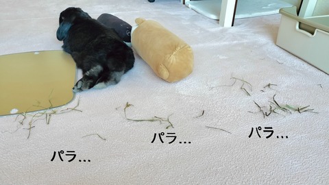 4FB9F5A6-BC29-4B7B-86A0-BDCA23CDAD8B