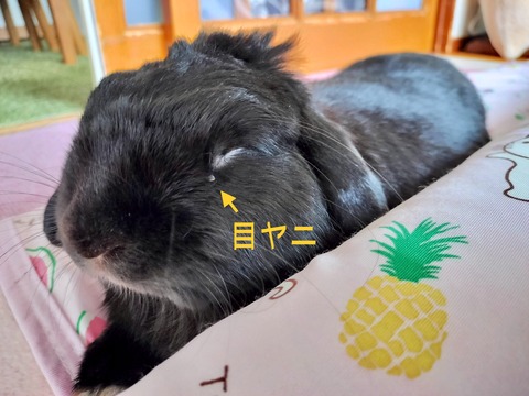 4262C6D9-46B8-41DC-A1B2-E3A0CB93F462