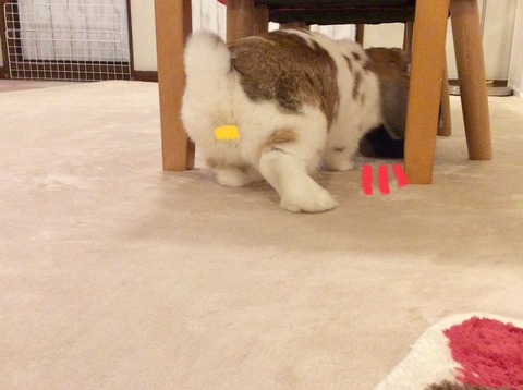 3502B6BF-72D8-4EA0-AD47-B21145CD5E79