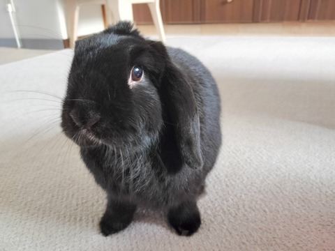 237CFEE4-14BF-41F0-83DC-A54F1D79222D