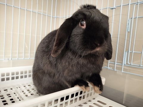 F0A26877-4BA8-4FBE-915C-BE753B995FFA