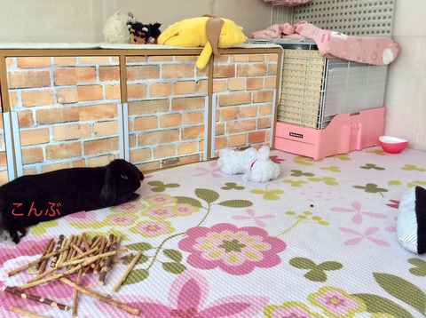 3476530C-BE17-4052-8980-83B84F586292