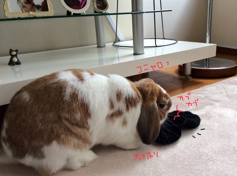 BB5CC3AF-6D25-4F98-98E2-1B9AE50B6B80