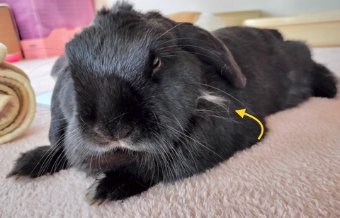 9CE23657-8CA9-454C-B518-8BEC0F7902B7