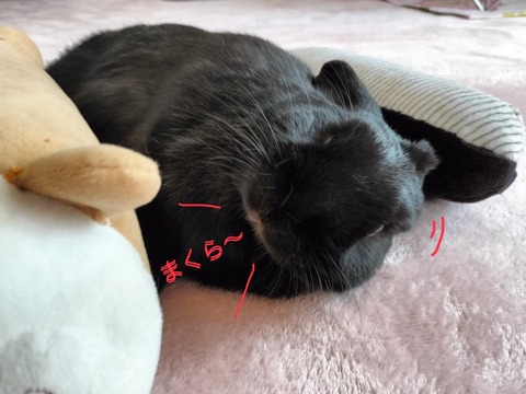 63970323-2BFA-4D01-BE84-04A3691506CA