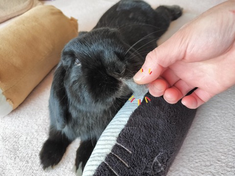 DF920717-4196-42E5-80E1-BD0A8677B333