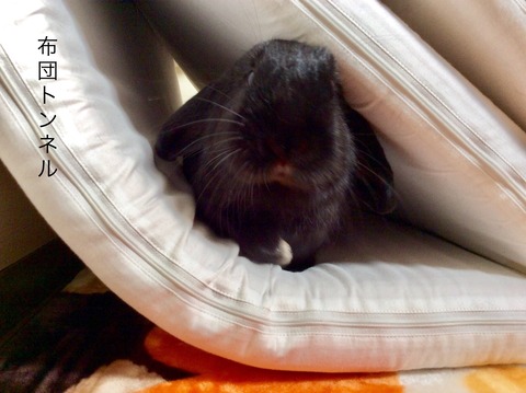 ADF72E6E-9329-421C-8623-DC394652C989