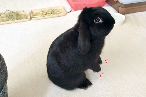 14BFB674-64FE-4C35-8190-3AE607BAE955