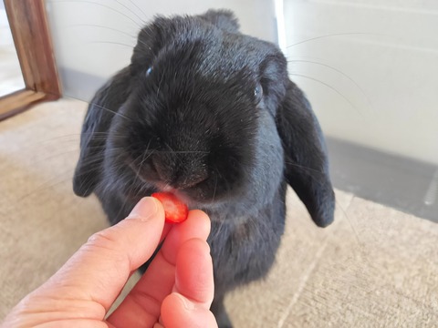 9933EE4F-C9C5-4D8B-B5C8-E5EB3CDF3253