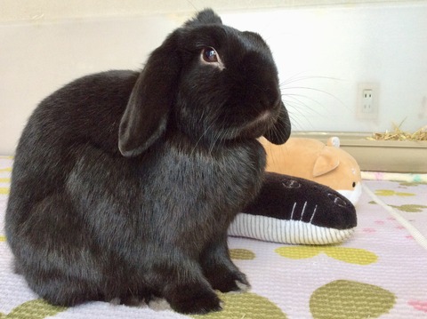 EF8E325E-BFBE-47D8-915A-F265049A2C20