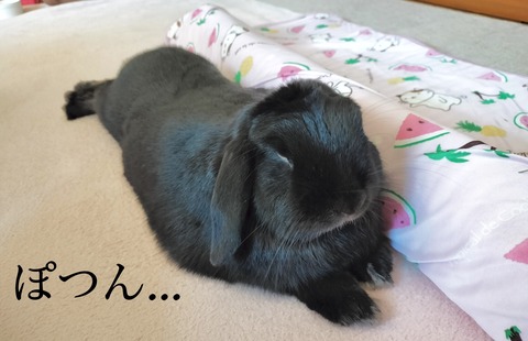 E5FC4DCC-02D3-4C4E-8B56-5D9DF7C595BA