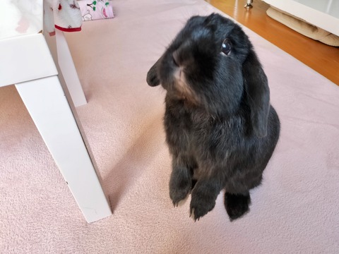 F4C19D1A-97B8-4EB2-AFE1-71A56A25F0CA