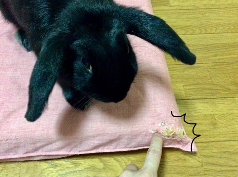 37301658-7C93-4B72-94A8-EA66AAE0856A