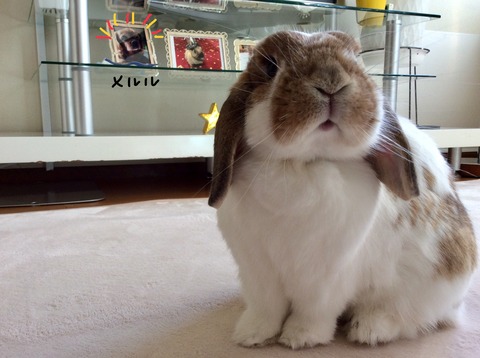 62791412-43B5-43F3-A14A-E250D1E1CF52