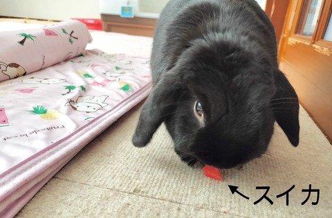 C4E0A723-87B3-4BF4-AF27-B254465F8CBF