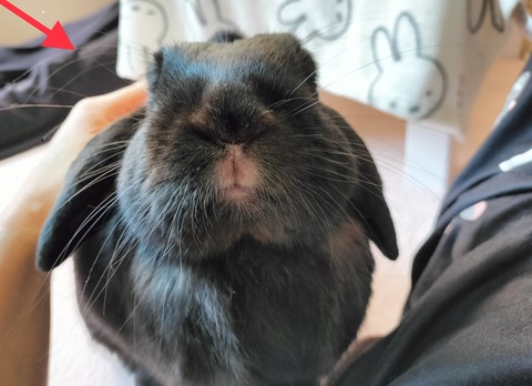 B7E7E9E3-29E8-4169-9B59-C5BF8F86ABA6