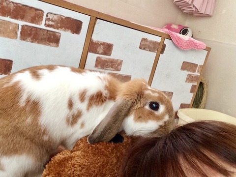 8896A22C-A3A1-4CE7-8BA8-62BF819F0365