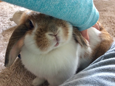 BC11DE67-FDA4-4466-B9B7-D6194309753D