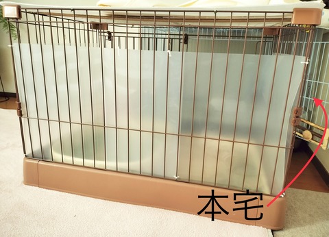 5ECED41B-309B-4B4A-A2A4-43F5F1D3695B