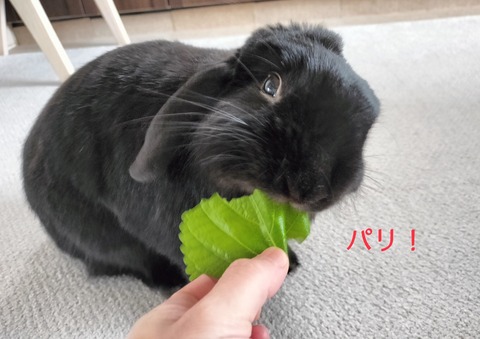 72AE996E-9FCE-45A0-B9CC-5D57B91F1DDB